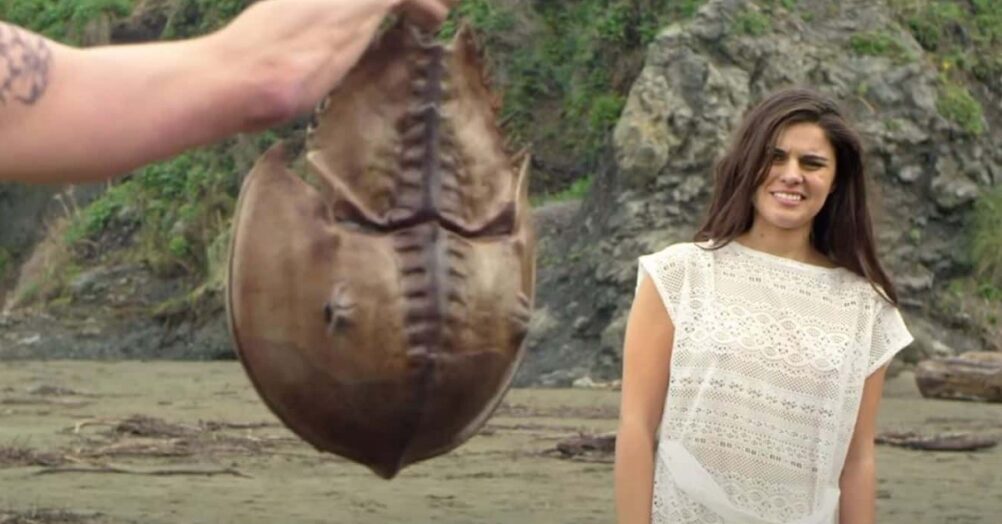 A trailer for the long-awaited creature feature Crabs! has been released online and the movie is coming soon. Jessica Morris stars.