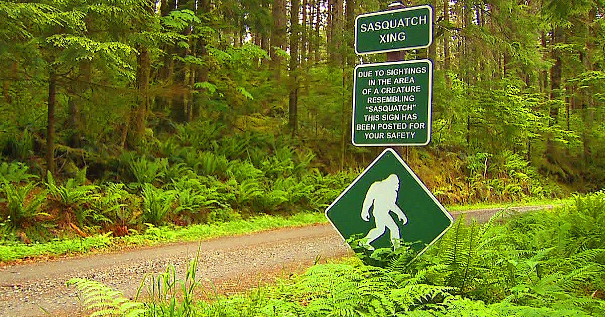 In the new episode of the Cryptid Campfire video podcast, host Eli Watson interviews members of Sasquatch research team the Olympic Project
