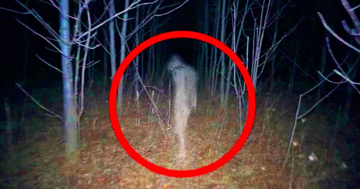 In the new episode, the We Want to Believe continues trying to find out more about the Robert that contacted them through a Spirit Box.