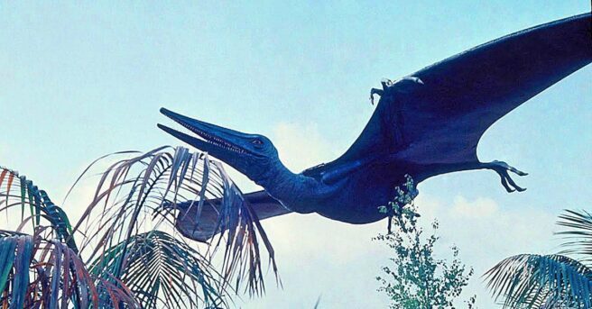 The latest episode of the Cryptid Campfire video podcast digs into the legend of the Ropen, a cryptid spotted in Papua New Guinea