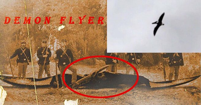 The discussion of the Ropen legend continues in the new episode of the video podcast Cryptid Campfire, featuring Karac St. Laurent.