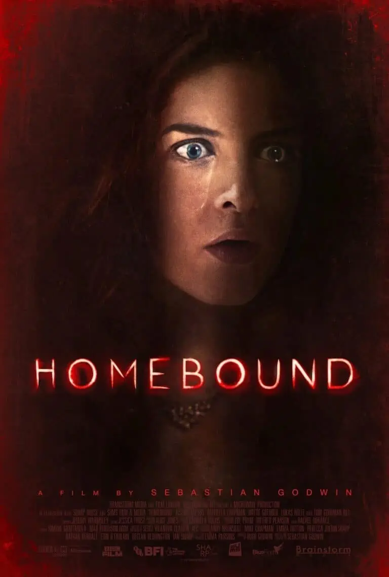 Homebound Sebastian Godwin Aisling Loftus