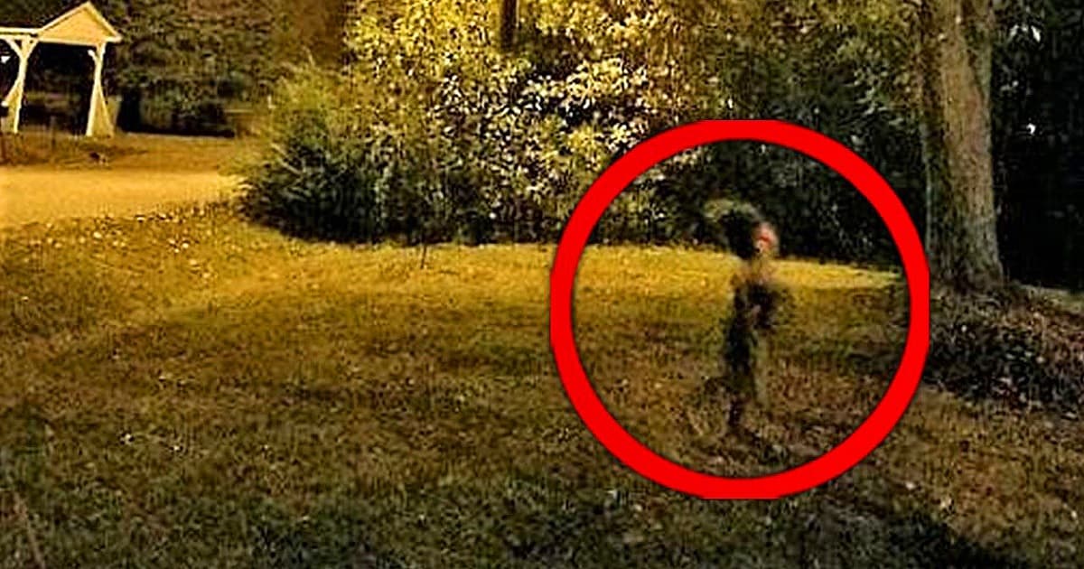 In the final episode of the Cryptid Campfire video podcast, hosts Alex, Eli, and Jasmine look back on their favorite episodes.