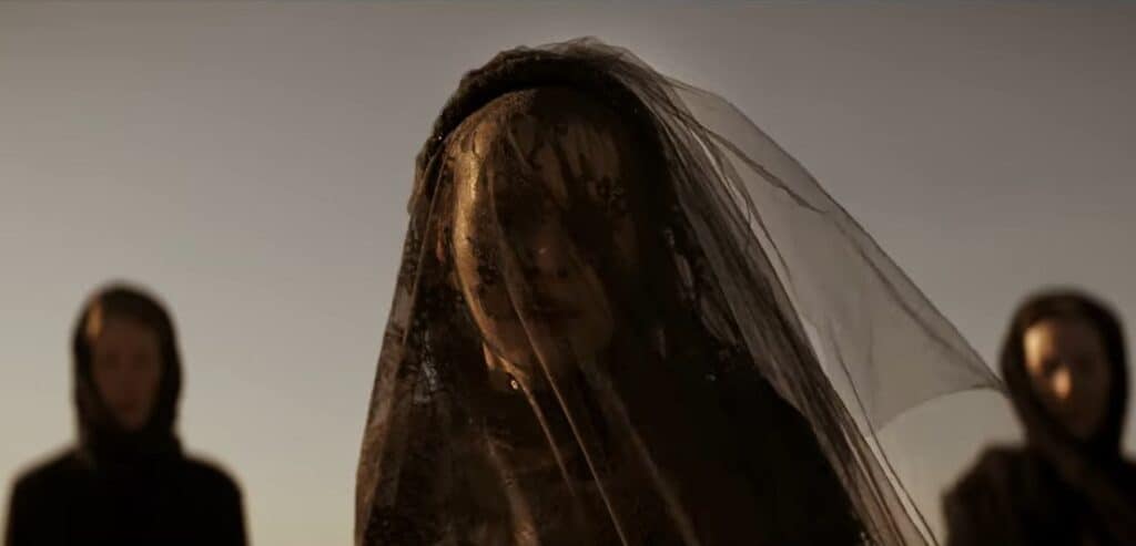 Teresa Palmer stars as a grieving mother in The Twin (2022).