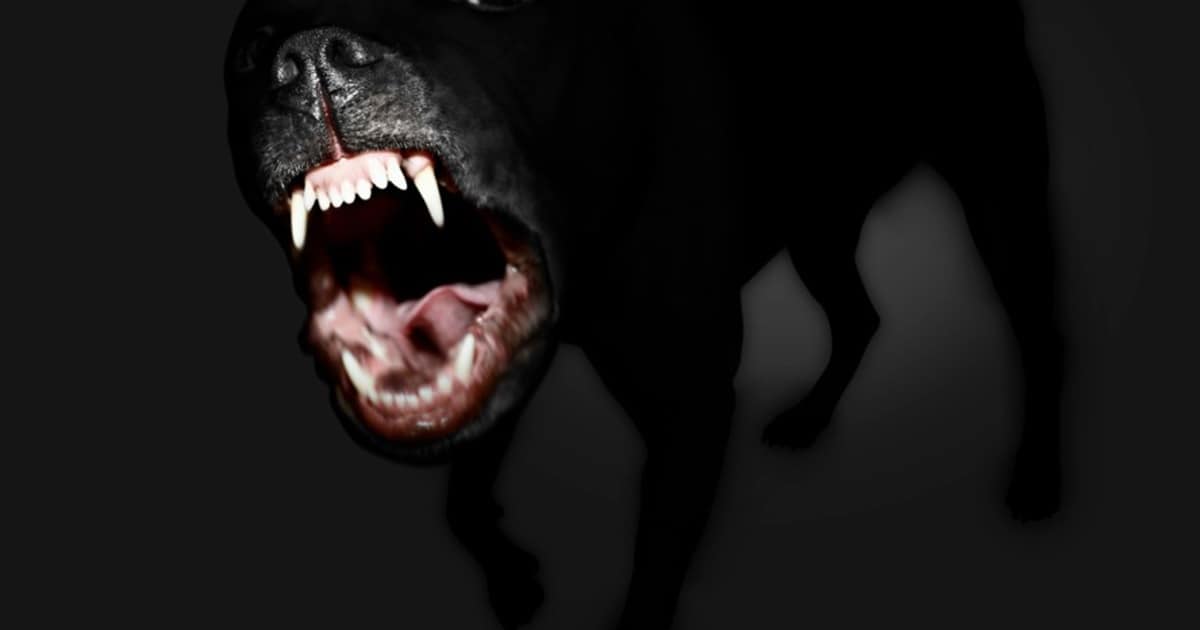 The Infinite Rabbit Hole video podcast makes its Paranormal Network YouTube channel debut with an episode on Phantom Black Dogs!