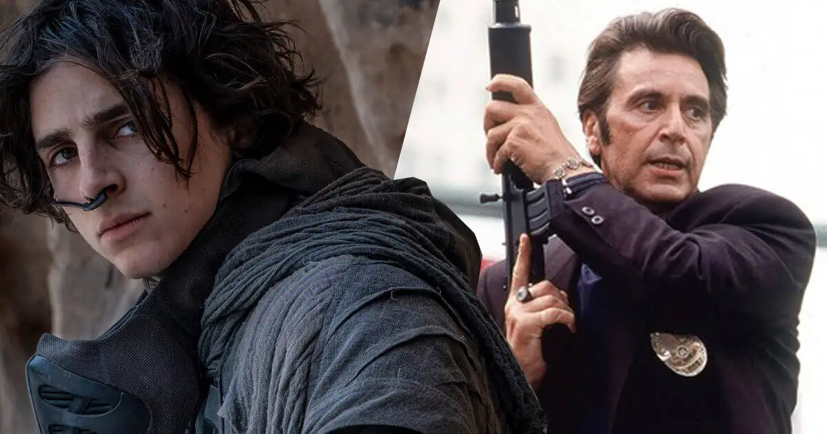 heat 2 timothy chalamet