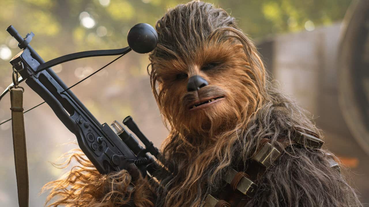 In the latest episode of That Bigfoot Show, host Taylor James Johnson takes a deep dive into the theory that Chewbacca may be a Sasquatch.