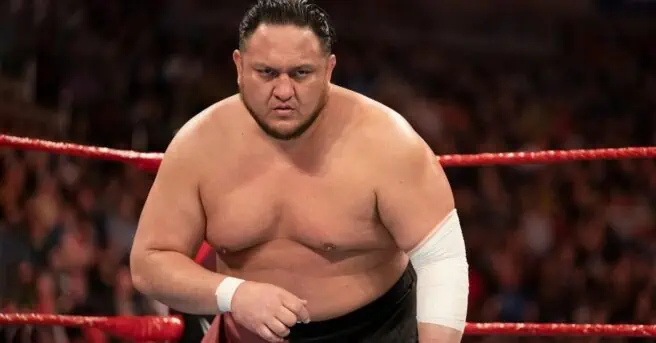 AEW wrestler Joe Seanoe, a.k.a. Samoa Joe, will be playing Sweet Tooth on Peacock's Twisted Metal series. Will Arnett provides his voice.