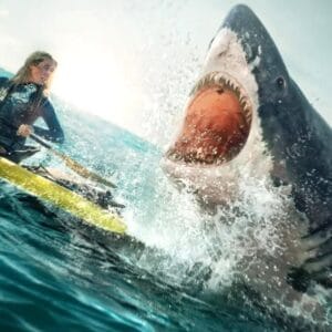 Arrow in the Head reviews director Andrew Traucki's new shark thriller The Reef: Stalked, now in theatres, on VOD, and on Shudder!