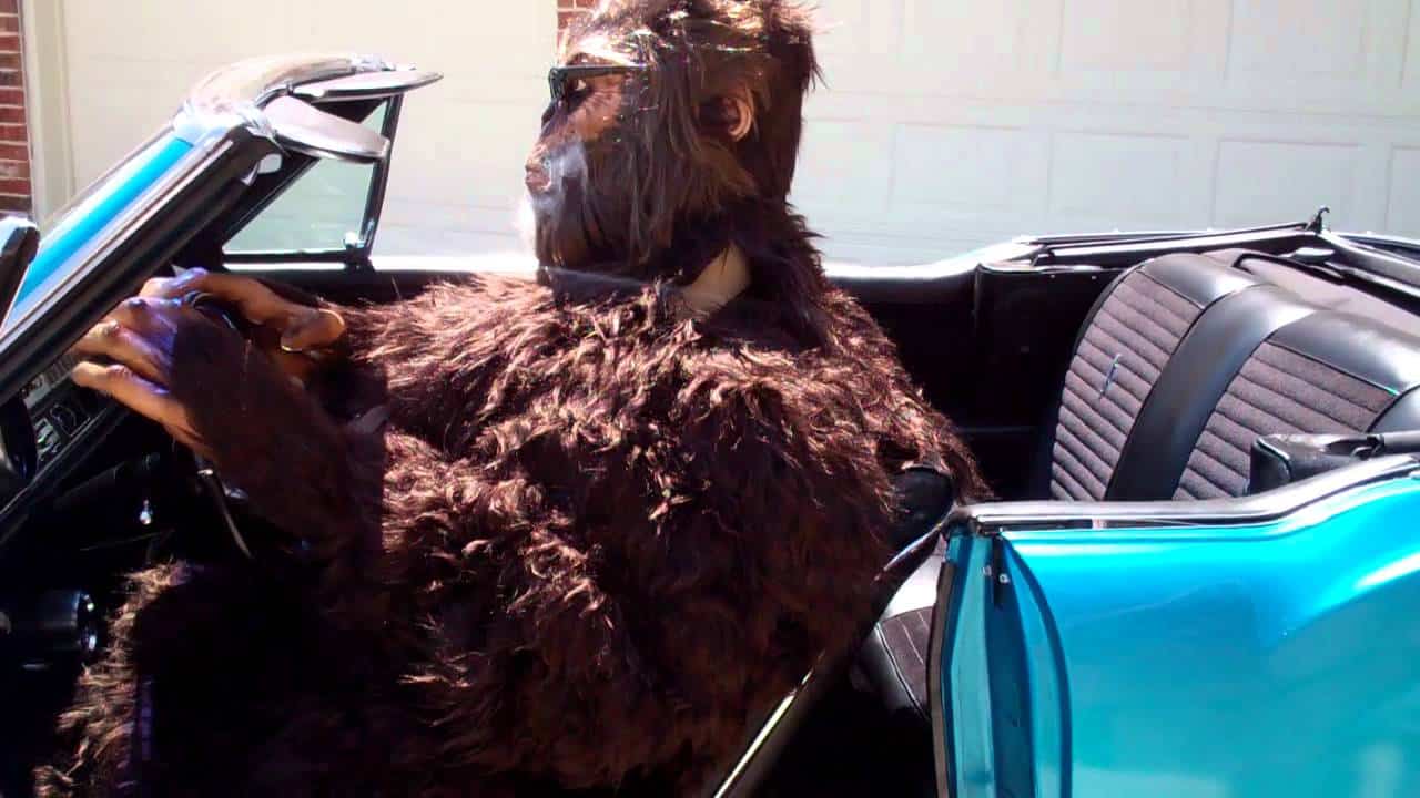 The latest episode of the Paranormal Network video series That Bigfoot Show takes a look at the celebrities who believe in Bigfoot.
