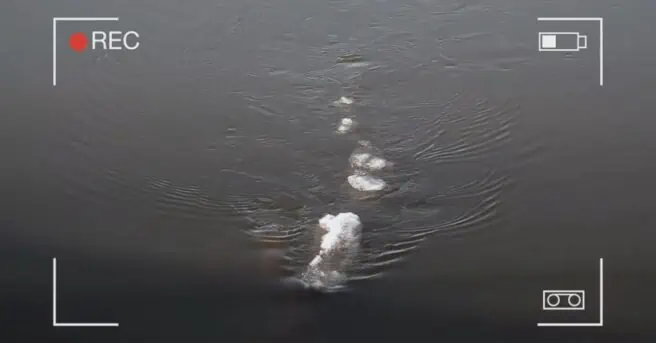 The hosts of the Paranormal Network video podcast Infinite Rabbit Hole continue digging into the legend of the Loch Ness Monster.