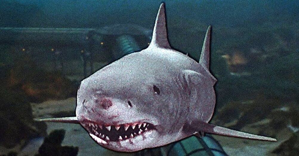 The new episode of the JoBlo Original docu-series 80s Horror Memories takes a deep dive into the 1983 release of Jaws 3-D