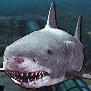 The new episode of the JoBlo Original docu-series 80s Horror Memories takes a deep dive into the 1983 release of Jaws 3-D
