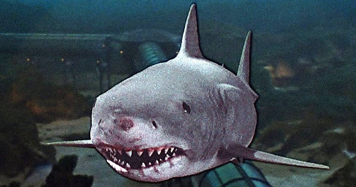 Jaws 3-D (1983) Revisited – Horror Movie Review