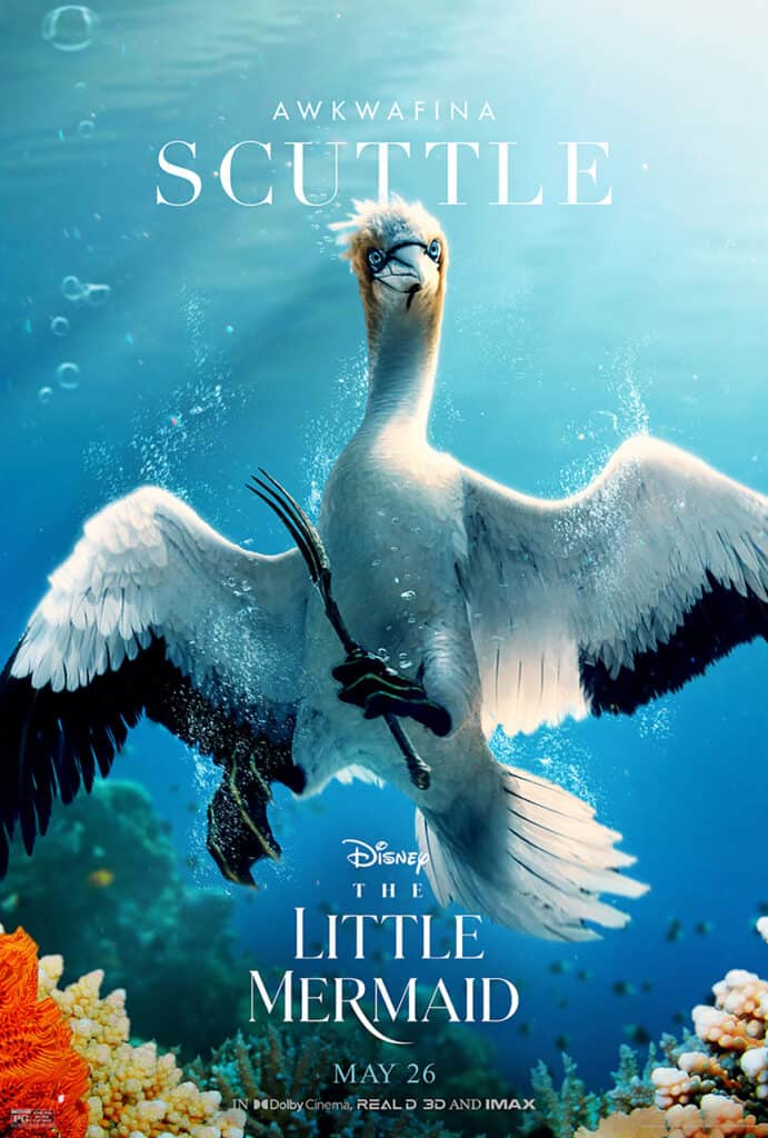 Disney, The Little Mermaid, poster, Scuttle