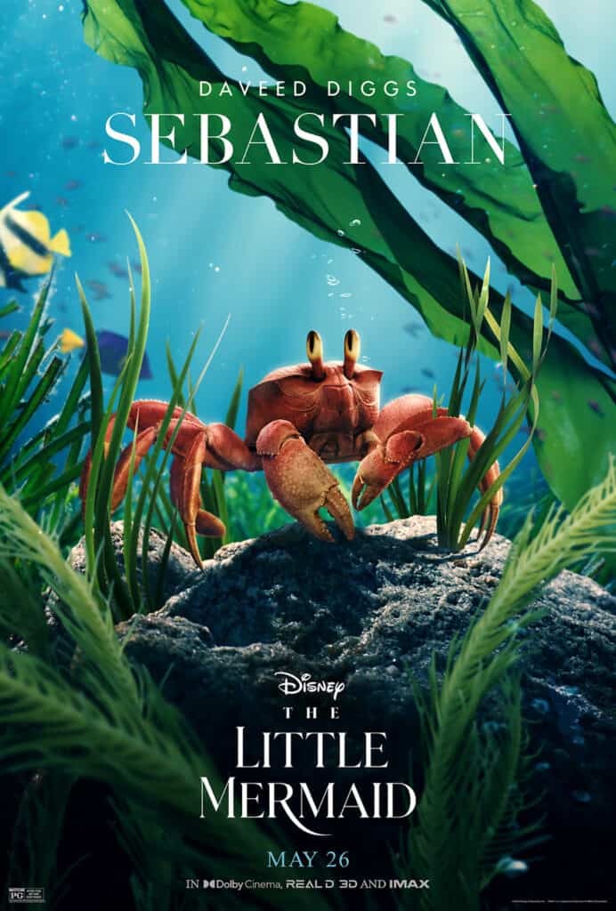 Disney, The Little Mermaid, poster, Sebastian