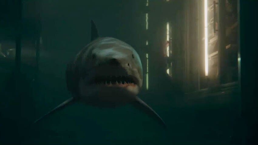 أفضل أفلام القرش
