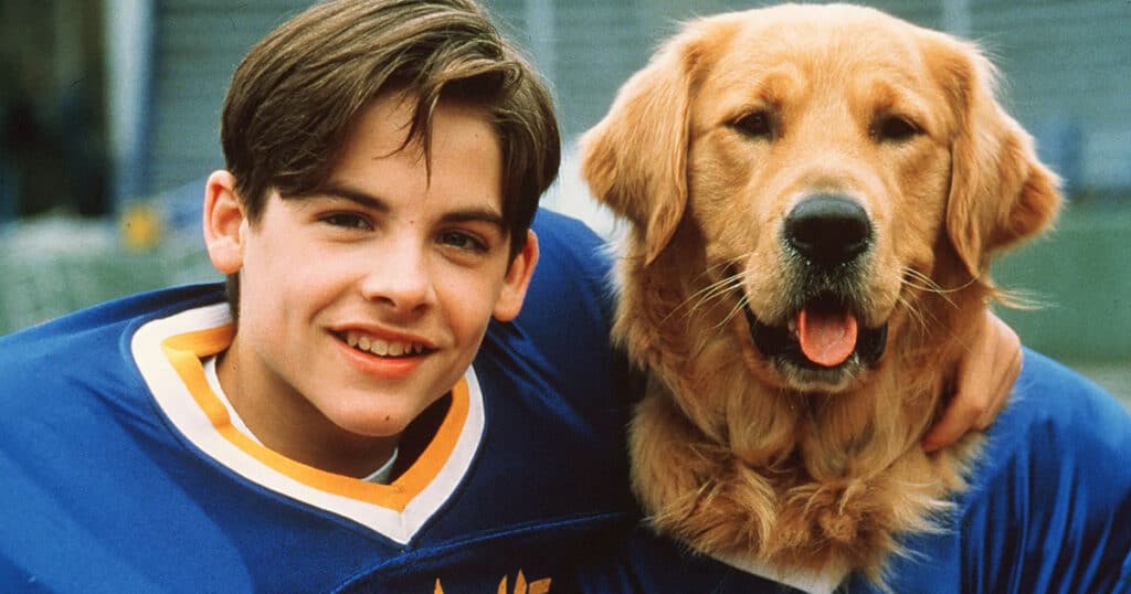 Air Bud Movie Collection: Your favorite Golden Receiver comes to Disney+ in October