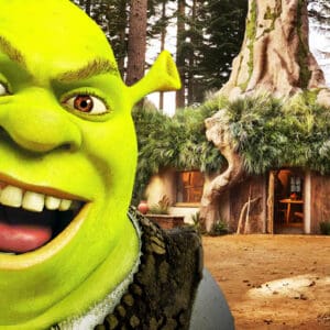 Shrek's Swamp, Airbnb