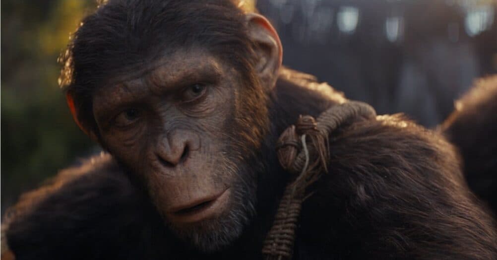 Kingdom of the Planet of the Apes director Wes Ball drew inspiration from Star Wars and Apocalypto when making the film