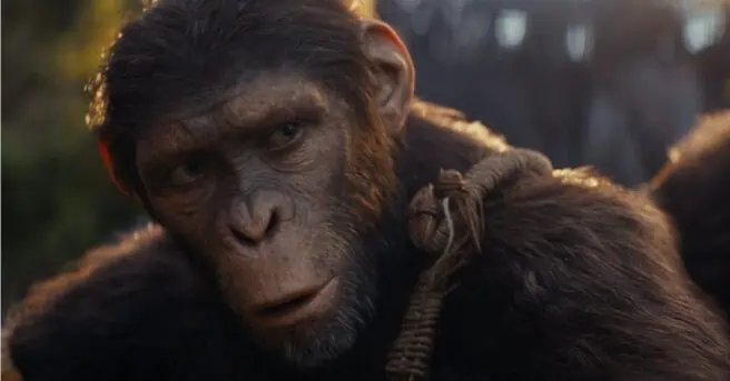Kingdom of the Planet of the Apes director Wes Ball drew inspiration from Star Wars and Apocalypto when making the film