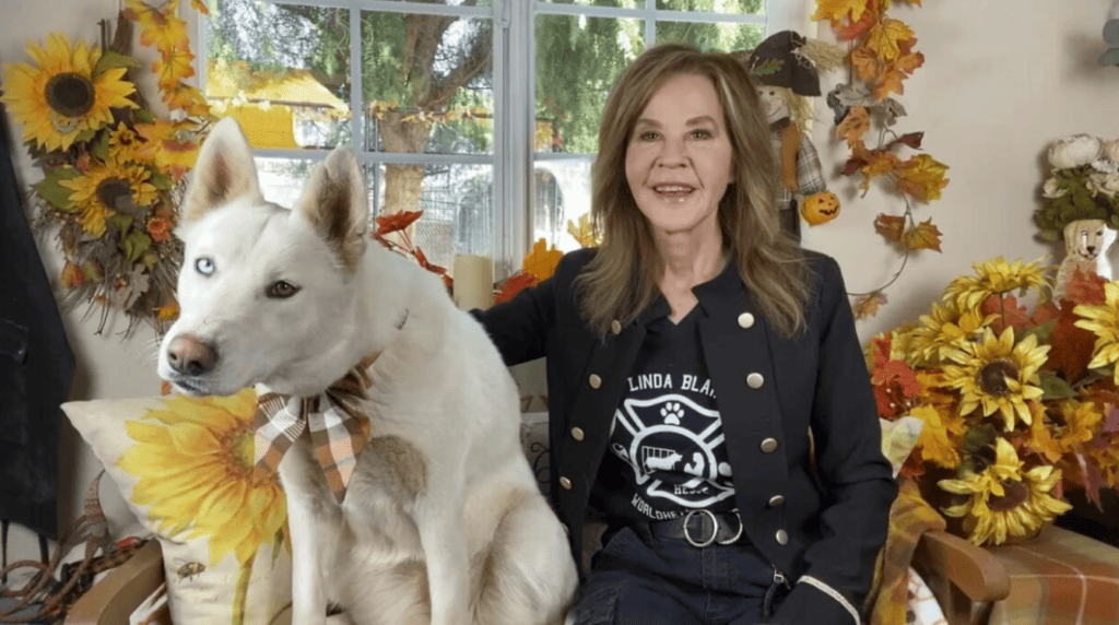 Linda Blair with one of her rescue dogs.