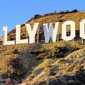 Hollywood artificial