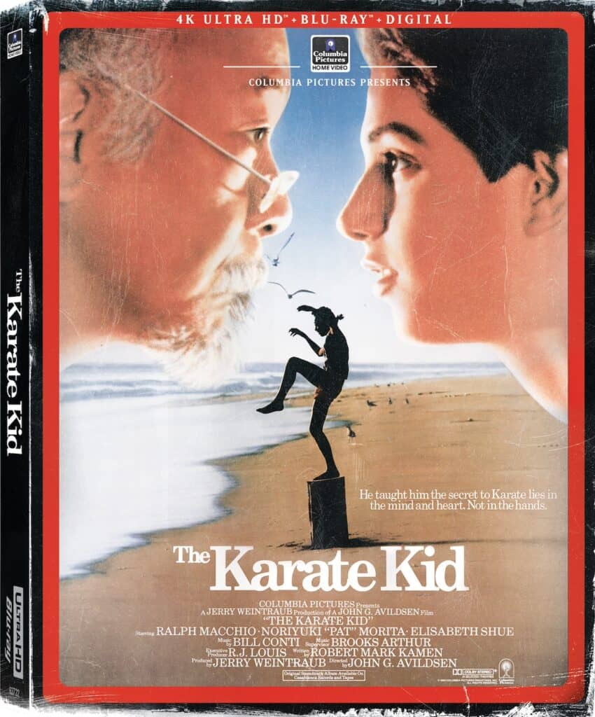 KarateKid VHS UHD ORG 3D ps 1661x2000 thumbnail