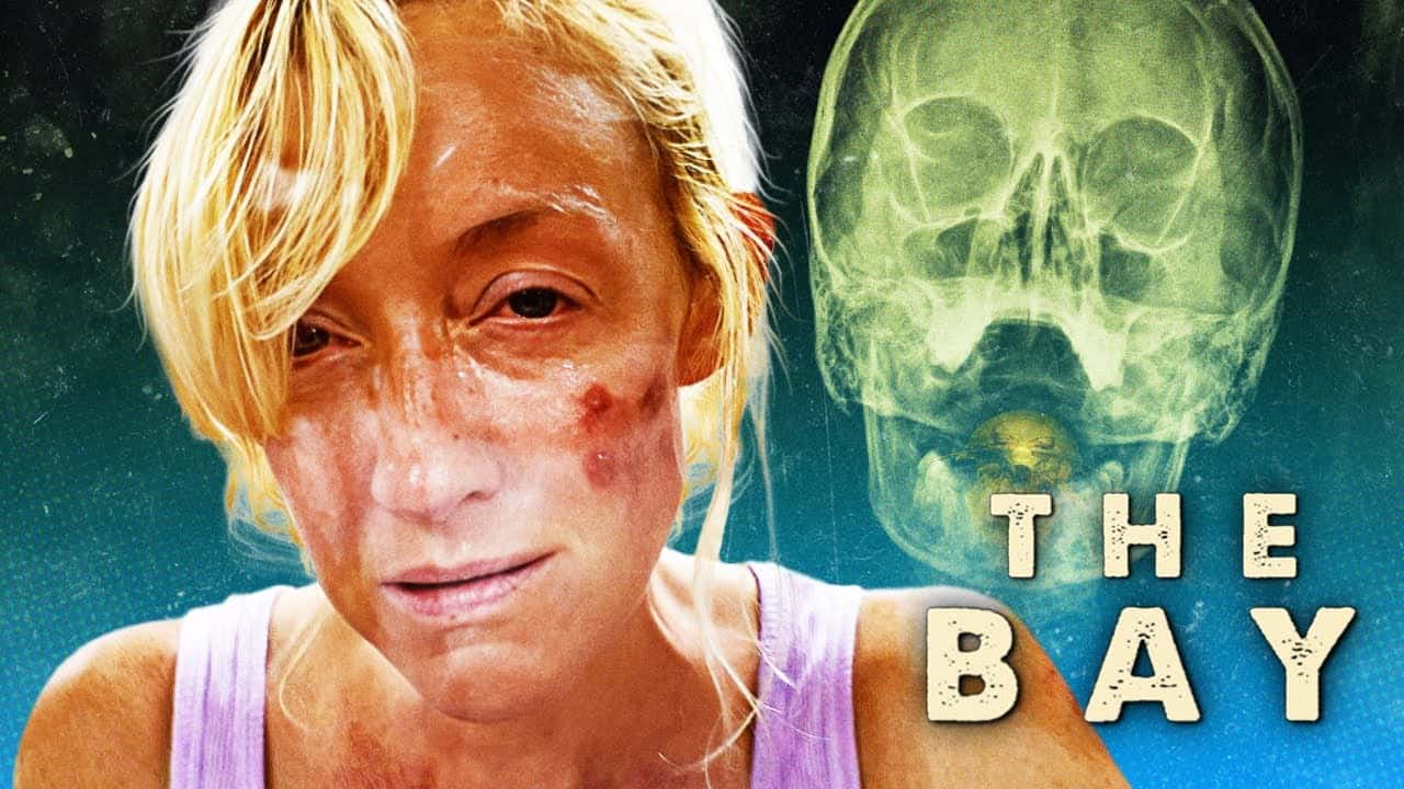 The Bay (2012) Revisited – Horror Movie Review