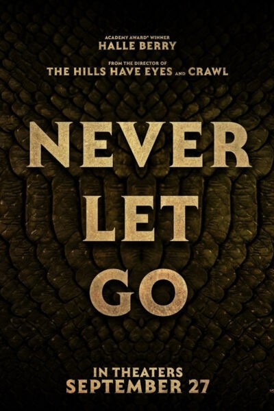never let go poster
