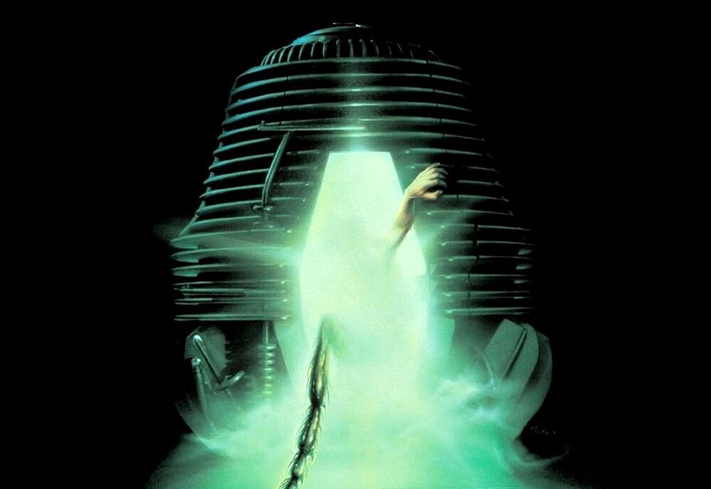 The Fly