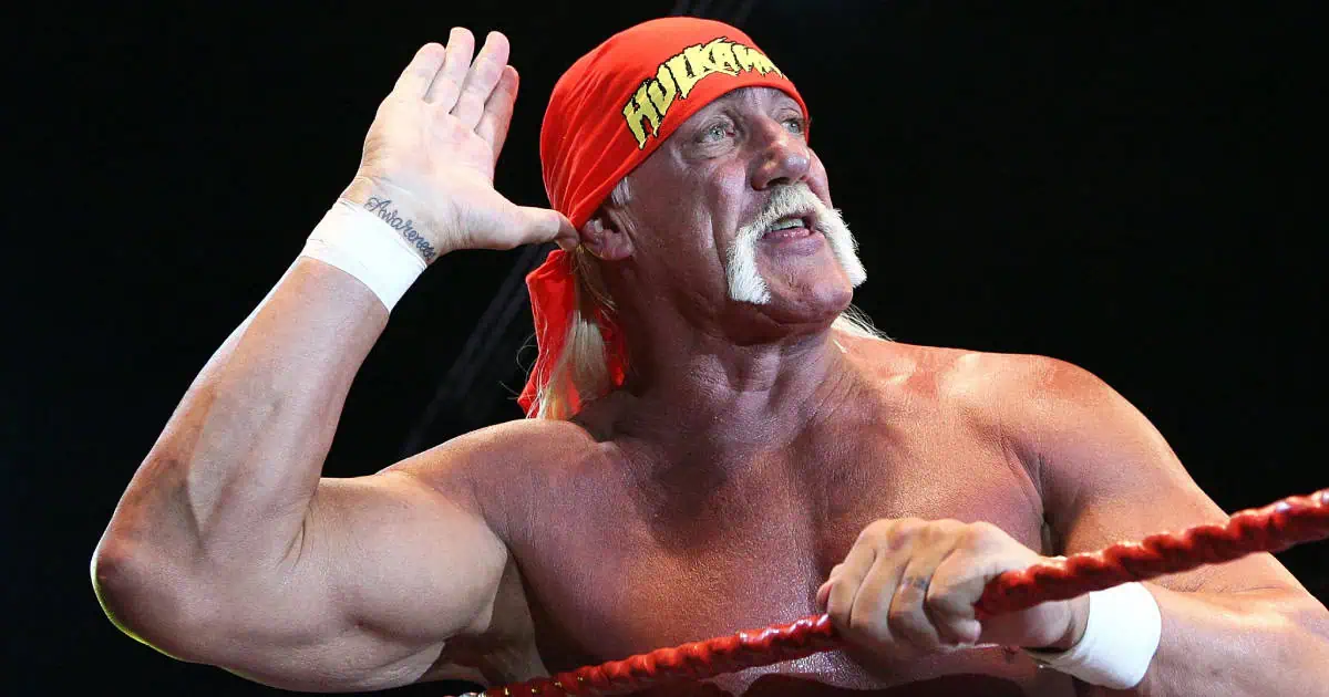 hulk hogan