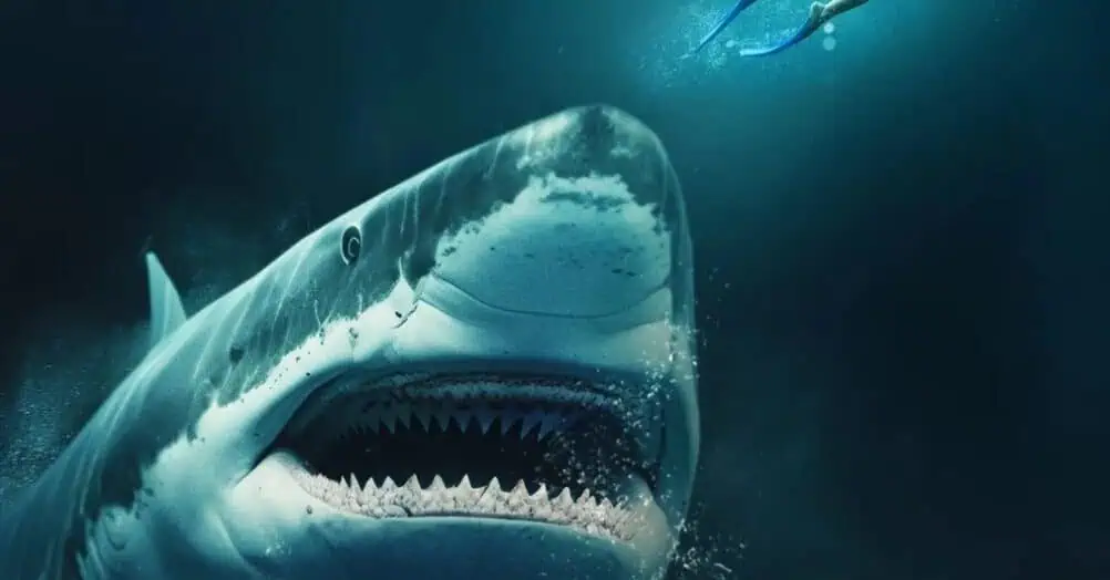 A clip from the shark thriller Into the Deep, which stars Scout Taylor-Compton and Richard Dreyfuss, shows a cage attack sequence
