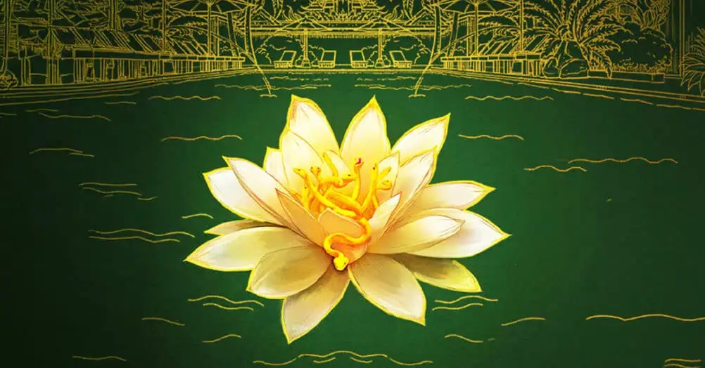 The White Lotus, season 4, renewed, HBO, France