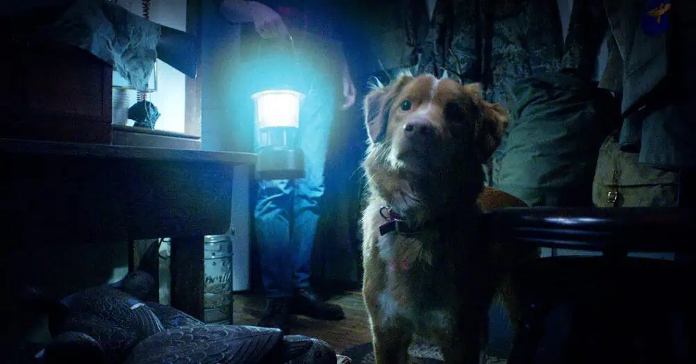 Good Boy, a haunted house movie told from the dog’s perspective, will be available on the Shudder streaming service very soon