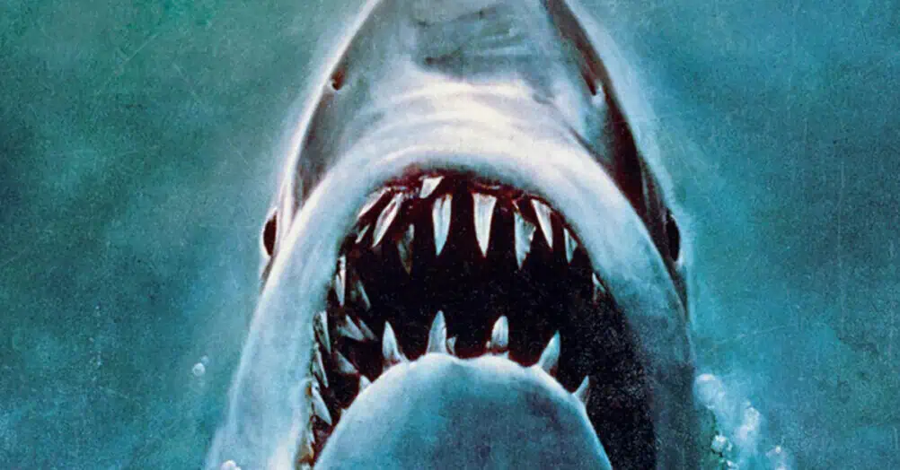 jaws poster