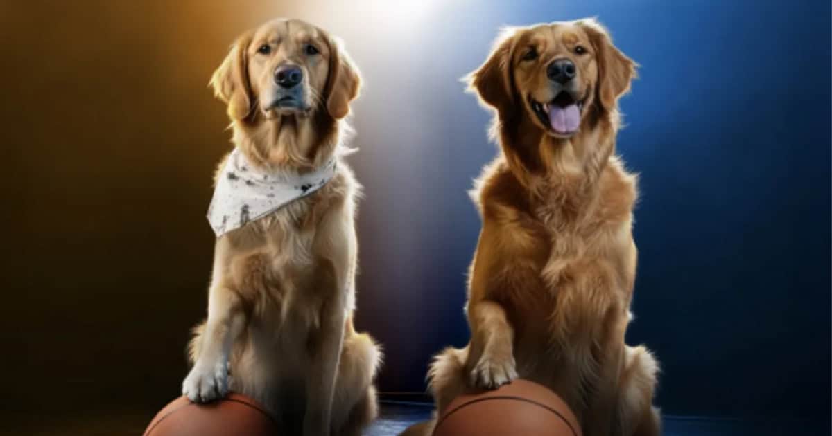 air bud