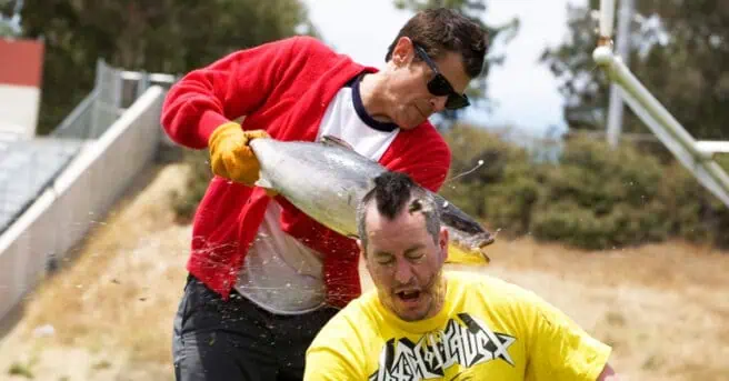 Jackass 5