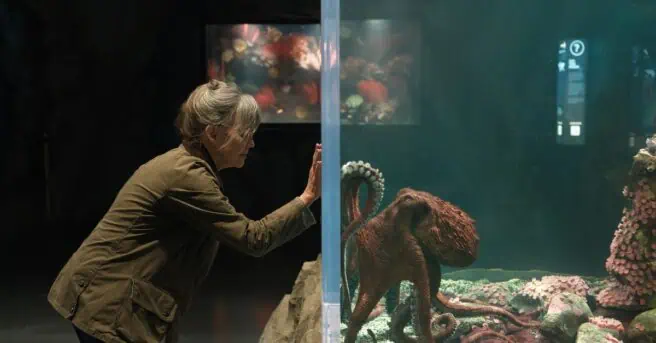 remarkably bright creatures