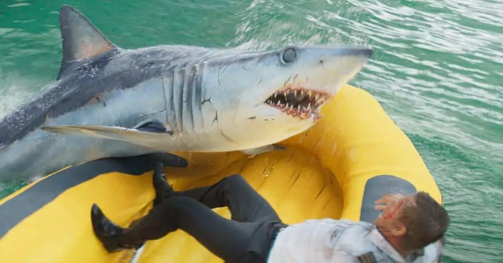 A clip from director Renny Harlin's upcoming thriller Deep Water shows the beginning of a shark attack sequence