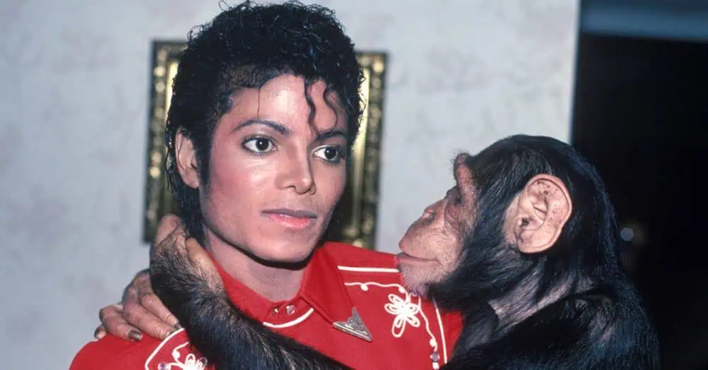 From monkeys to sharks, these celebrity exotic pets reveal the wild side of fame. Discover the strangest star-owned animals