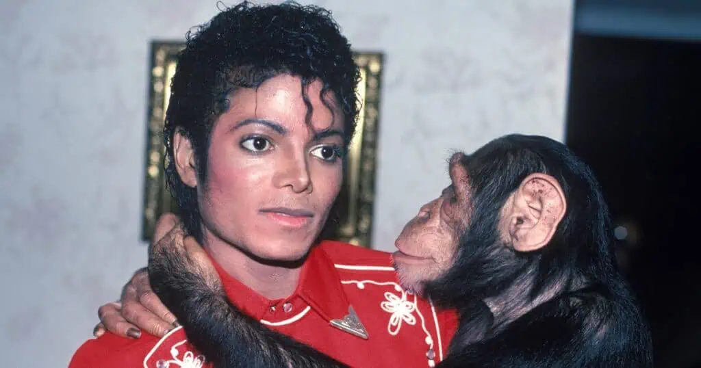 From monkeys to sharks, these celebrity exotic pets reveal the wild side of fame. Discover the strangest star-owned animals