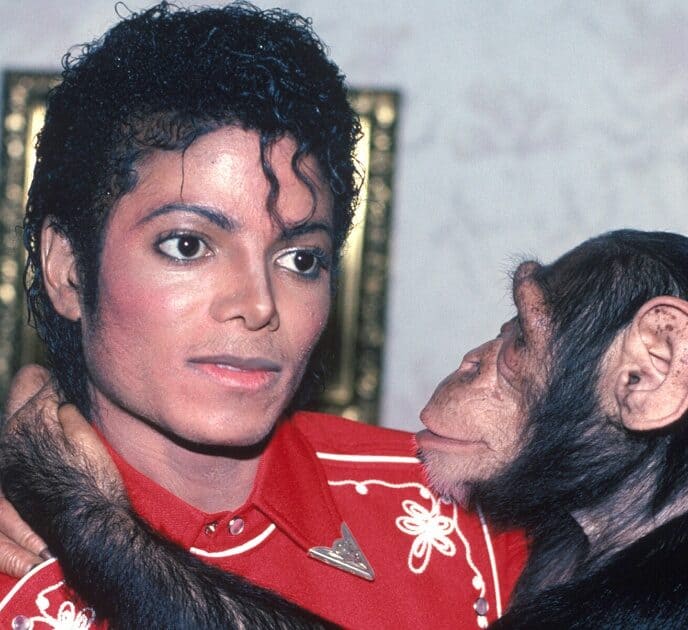 From monkeys to sharks, these celebrity exotic pets reveal the wild side of fame. Discover the strangest star-owned animals