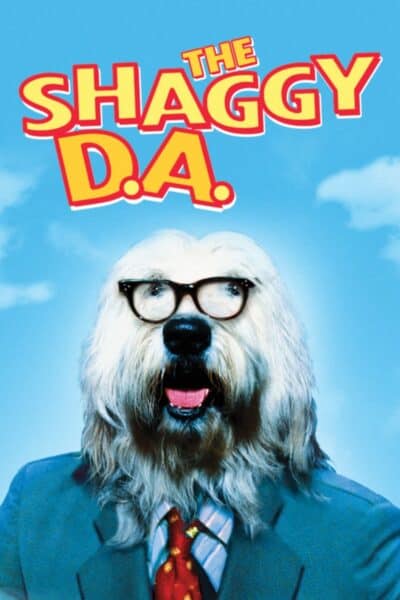 Shaggy D.A.