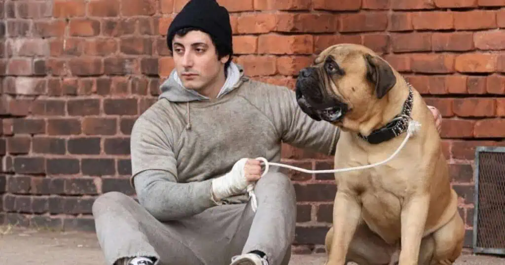 I Play Rocky