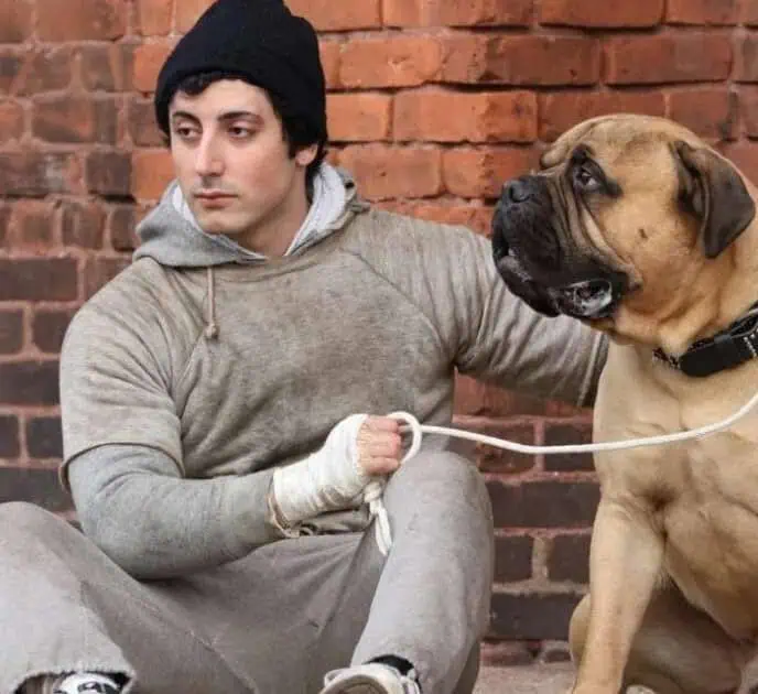 I Play Rocky