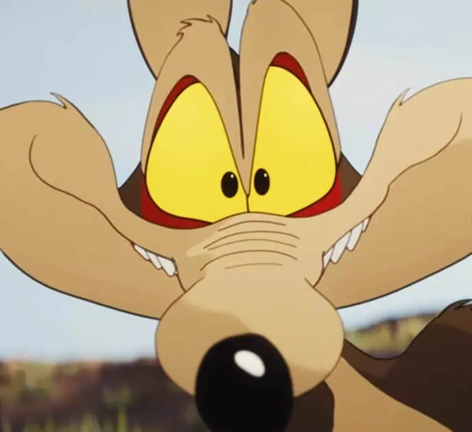 Coyote vs. Acme final trailer