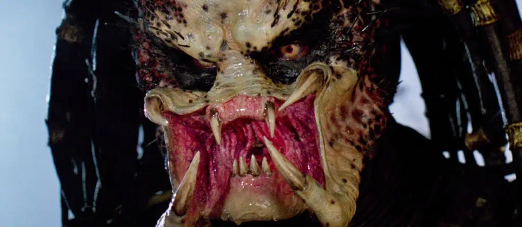 Predator