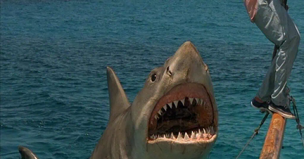 Jaws: The Revenge