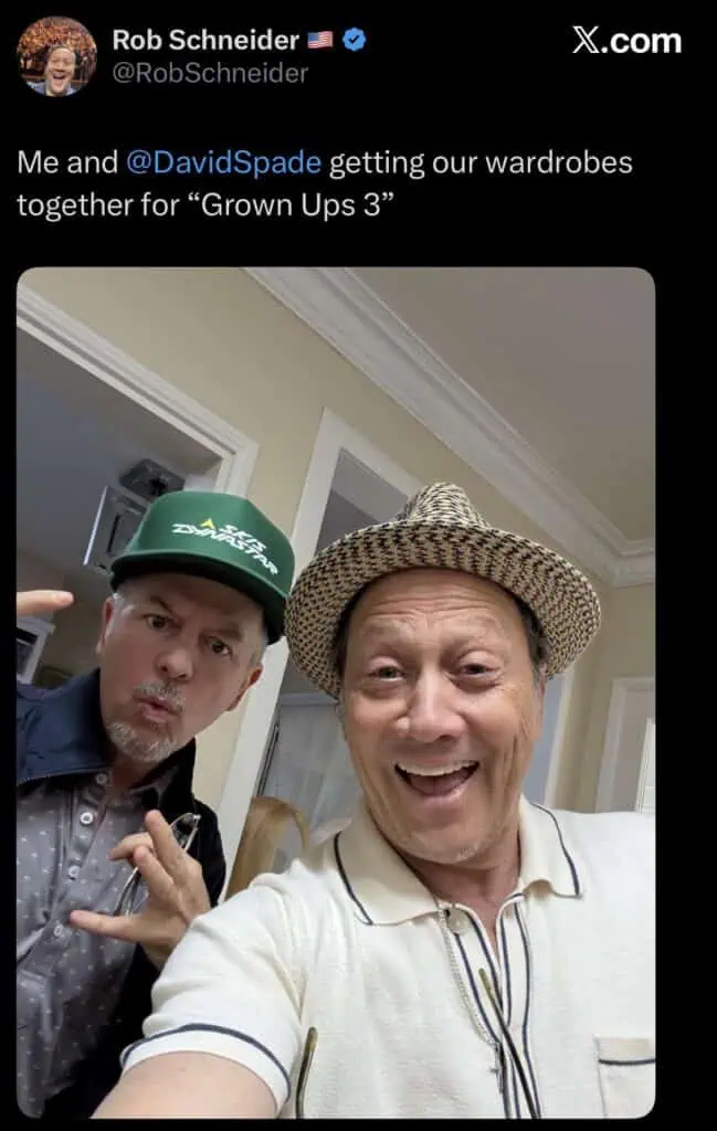 grown ups 3